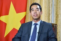 Thứ trưởng Bộ Ngoại giao Tô Anh Dũng