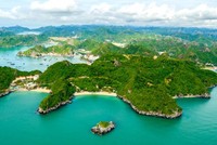 Quần đảo Cát Bà
