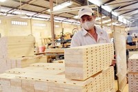 Năm 2020, hàng hóa Việt Nam xuất khẩu dính 39 vụ kiện phòng vệ thương mại, trong đó Hoa Kỳ đứng đầu với 8 vụ việc.