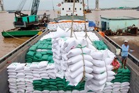 Giá gạo xuất khẩu 4 tháng đầu năm 2021 tiếp tục được cải thiện, đạt 534 triệu USD/tấn.