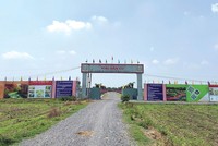 Hình ảnh ghi nhận thực tế tại dự án Khu dân cư Rồng Vàng