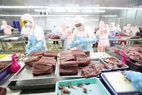 Chế biến cá ngừ xuất khẩu tại Nhà máy Thủy sản Hồng Ngọc