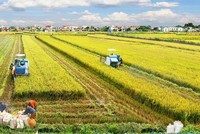 Việt Nam và Thụy Sỹ gia hạn dự án theo dõi và bảo hiểm lúa hết năm nay
