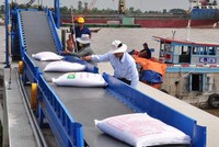 EU phân bổ hạn ngạch cho gạo Việt Nam theo Hiệp định EVFTA từ1/1/2022.