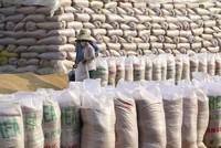 Bộ Công Thương vừa thành lập Đoàn công tác kiểm tra việc thi hành pháp luật đối với các thương nhân kinh doanh xuất nhập khẩu gạo