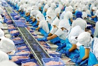 VASEP dự tính trong giai đoạn 2021-2025, xuất khẩu thủy sản tăng trưởng trung bình 7%/năm và tới năm 2025 đạt 12 tỷ USD.