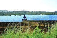 “Cơn lốc” điện mặt trời quét qua, quy hoạch đất đai bị phá nát - Bài 1: “Mọc” trên đất nông nghiệp, “ký sinh” trong khu công nghiệp