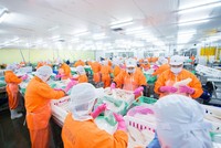 Người lao động làm việc tại nhà máy Thái Bình Dương của Nam Việt. (Ảnh: Navico).