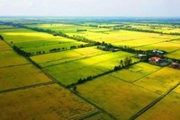 Ảnh minh họa. Nguồn: Internet