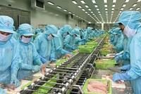 Chủ tịch IDI hoàn tất bán thỏa thuận cổ phiếu cho đối tác lớn
