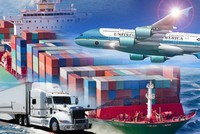 Vận tải đa phương thức Duyên Hải (TCO) thu về gần 42,3 tỷ đồng từ việc bán hơn 1,98 triệu cổ phiếu quỹ