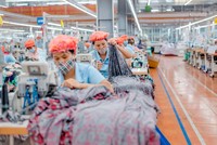 May Sông Hồng (MSH): Con gái Chủ tịch HĐQT đã mua vào 617.880 cổ phiếu