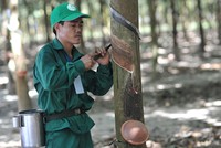 Ảnh Internet