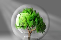 Nhận định thị trường phiên giao dịch chứng khoán ngày 29/6: Nắm giữ các vị thế đã mở