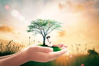 Nhận định thị trường phiên giao dịch chứng khoán ngày 1/6: Tận dụng nhịp điều chỉnh để tăng tỷ trọng cổ phiếu