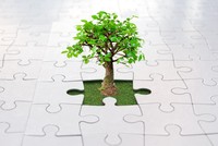 Nhận định thị trường phiên giao dịch chứng khoán ngày 27/7: Kỳ vọng sẽ có sóng tăng trở lại