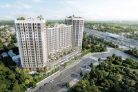Nhà Thủ Đức (TDH) bán gần hết tài sản