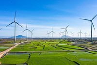 Cùng Việt Nam thắp sáng hành trình xanh