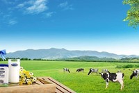 9 tháng, Vinamilk (VNM) đạt gần 8.380 tỷ đồng lợi nhuận sau thuế
