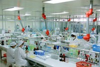 Dược Hậu Giang (DHG): Lợi nhuận sau thuế 6 tháng đạt 404 tỷ đồng, tăng 11,5%