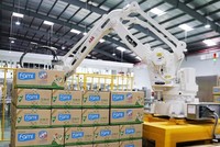 Đường Quảng Ngãi (QNS): Tổng giám đốc miệt mài gom cổ phiếu