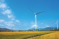 Nối dài sóng cổ phiếu năng lượng xanh