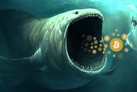 Giá Bitcoin hôm nay ngày 20/4: Hoạt động thu gom hàng của "cá voi" tăng mạnh, dấu hiệu của một đợt bùng nổ về giá của Bitcoin?
