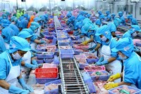 Nam Việt (ANV): Quý II/2021, lợi nhuận giảm 26,2% chủ yếu do chi phí bán hàng tăng cao