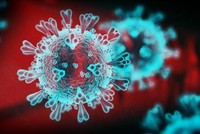 Chủng virus mới đang lấn át mối lo ngại về tăng lãi suất