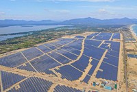 Bamboo Capital (BCG) dự kiến chào bán tiếp hơn 4 triệu cổ phiếu cho các nhà đầu tư cá nhân