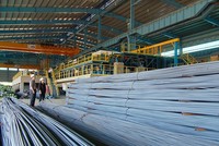 Thép Tiến Lên (TLH) thay đổi một thành viên HĐQT