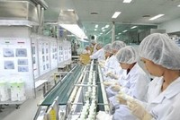 Dược Việt Nam (DVN): Lợi nhuận quý I/2022 đạt 48,8 tỷ đồng, hoàn thành 30,7% năm