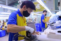 Việc làm của 660 triệu thanh niên tại châu Á - Thái Bình Dương bị thách thức bởi Covid-19