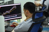 PYN Elite Fund: VN-Index hướng đến mốc 2.500 điểm