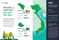 Manulife Việt Nam cùng khách hàng trồng rừng