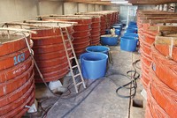 Việc đầu tiên cần phải làm là xây dựng được thương hiệu thật tốt trên chính thị trường nội địa