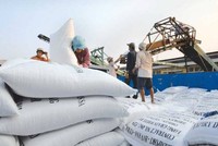 Xuất khẩu gạo ghi nhận mức tăng trưởng khá sau 2 tháng đầu năm 2020, đạt Riêng gạo đạt 372 triệu USD, tăng 20,5% .