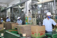 Lix đặt mục tiêu doanh thu năm 2020 là 2.772 tỷ đồng và lợi nhuận trước thuế là 230 tỷ đồng, tăng 10% và 2% so với năm 2019.