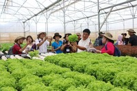 Thành lập Ban chỉ đạo tổng kết 20 năm đổi mới, phát triển kinh tế tập thể