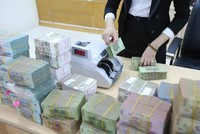 Dự kiến nguồn lực ban đầu khi Chính phủ đề xuất các gói hỗ trợ khoảng 61.580 tỷ đồng nhưng kết quả thực hiện rất thấp.