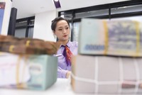 Việc nợ xấu tăng nhanh ở nhiều ngân hàng đã được dự báo trước. Ảnh: Dũng Minh