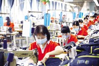 Hai tháng cuối năm 2021 và những tháng đầu năm 2022 được nhiều doanh nghiệp xem là “điểm rơi” của kế hoạch phục hồi, do vậy nếu tiếp cận được chính sách phù hợp, thì hoạt động sản xuất, kinh doanh sẽ trở lại rất nhanh. Trong ảnh: Dây chuyền sản xuất hàng xuất khẩu của Công ty cổ phần May Hồ Gươm. Ảnh: Đức Thanh