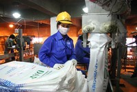 Cổ phiếu phân bón được kỳ vọng tăng giá mạnh thời gian tới.