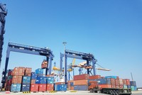 Xếp dỡ Hải An lên kế hoạch lãi khủng, phát hành cổ phiếu ESOP
