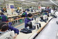 TNG: Tháng 1, doanh thu tăng 62%