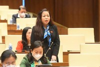 Phiên thảo luận sáng 10/1 của Quốc hội.