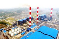 Nhiệt điện Quảng Ninh: Quý II/2022, ghi nhận lỗ tỷ giá 24,2 tỷ đồng