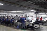 Năm 2019, TNG ước đạt 4.560 tỷ đồng doanh thu, tăng trưởng 26%