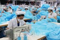 TNG, lợi nhuận tháng 1 tăng 72%