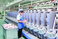CTCP Dệt may Đầu tư Thương mại Thành Công (TCM) thông báo mời họp ĐHCĐ thường niên 2022